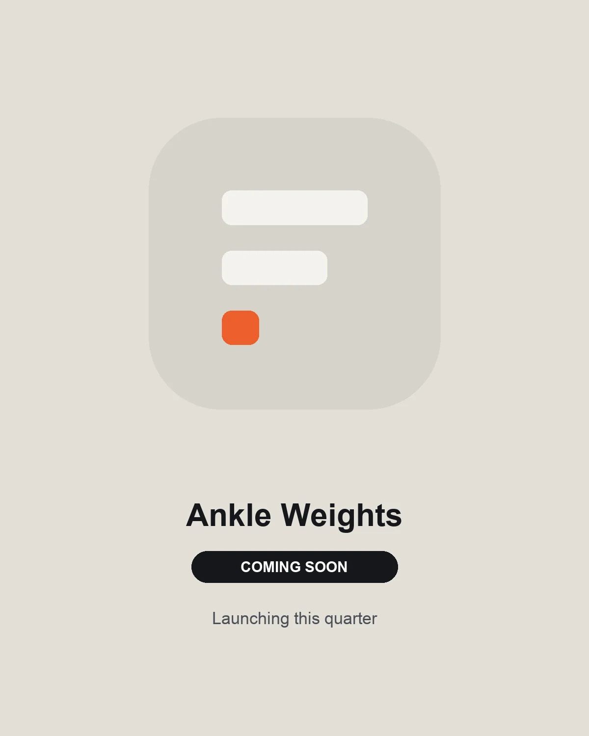 Ankle Weights (pair)